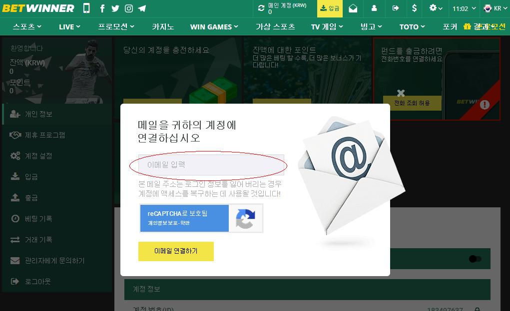 이메일 확인 이메일 확인